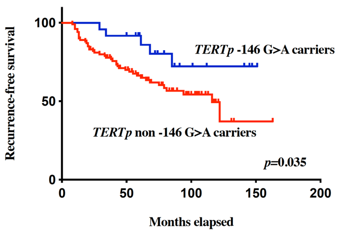 Tert promoter mutation as a potential predictive biomarker in bcg-treated bladder cancer patients